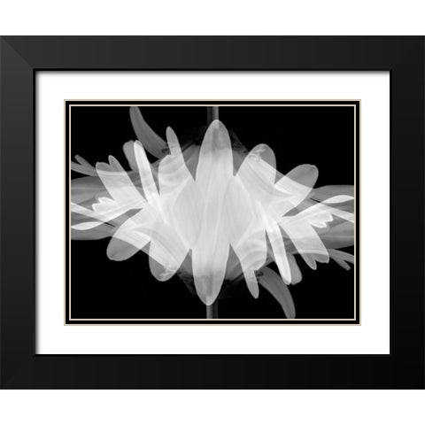 Superimposition Black Modern Wood Framed Art Print with Double Matting by Christensen, Jim