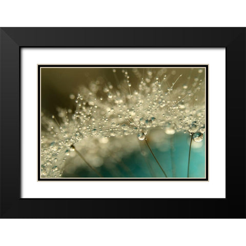 Smoky Blue Black Modern Wood Framed Art Print with Double Matting by Johnstone, Sharon