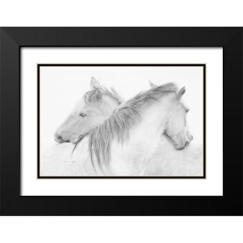 Stas - Horses Black Modern Wood Framed Art Print with Double Matting by 1x
