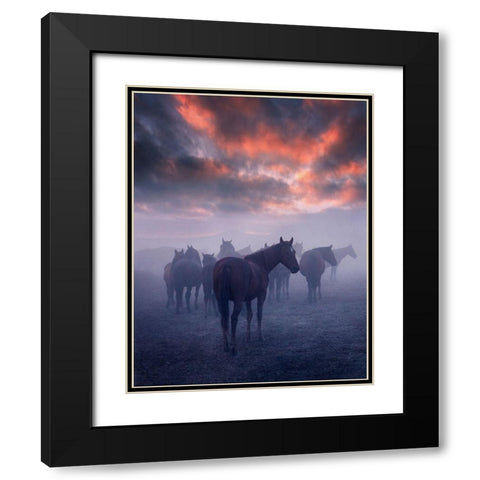 Wild Horses Black Modern Wood Framed Art Print with Double Matting by 1x