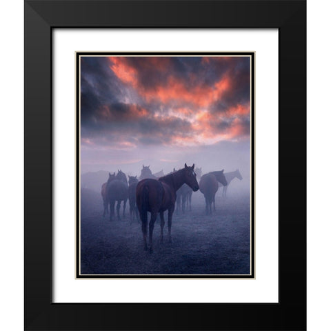 Wild Horses Black Modern Wood Framed Art Print with Double Matting by 1x
