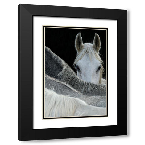 Malovrh - Look Black Modern Wood Framed Art Print with Double Matting by 1x