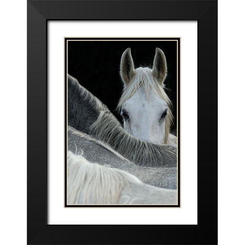 Malovrh - Look Black Modern Wood Framed Art Print with Double Matting by 1x