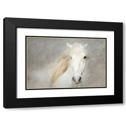 Stallion Face Black Modern Wood Framed Art Print with Double Matting by Asimow, Merrie