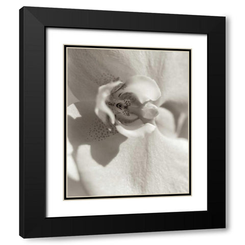Florison - 8 Black Modern Wood Framed Art Print with Double Matting by Blaustein, Alan