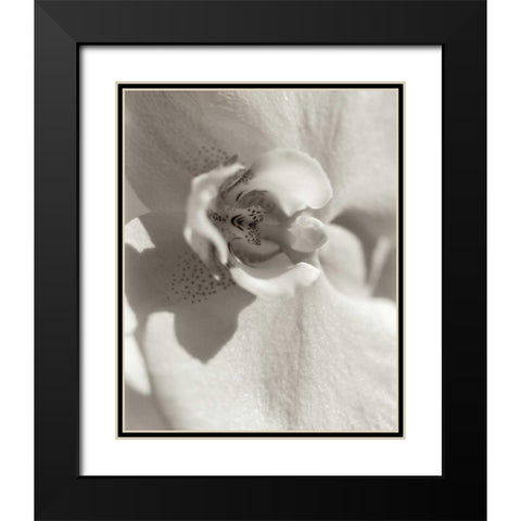 Florison - 8 Black Modern Wood Framed Art Print with Double Matting by Blaustein, Alan