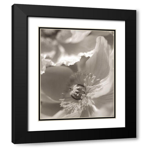 Florison - 7 Black Modern Wood Framed Art Print with Double Matting by Blaustein, Alan