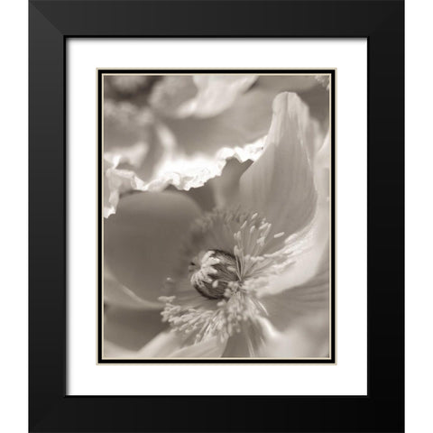 Florison - 7 Black Modern Wood Framed Art Print with Double Matting by Blaustein, Alan