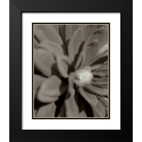 Florison - 6 Black Modern Wood Framed Art Print with Double Matting by Blaustein, Alan