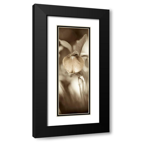 Florison - 73 Black Modern Wood Framed Art Print with Double Matting by Blaustein, Alan