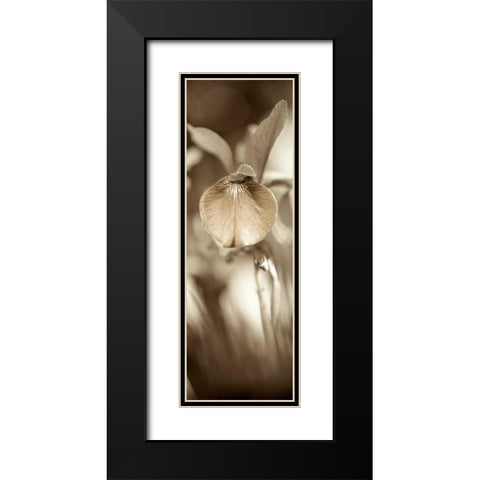 Florison - 73 Black Modern Wood Framed Art Print with Double Matting by Blaustein, Alan