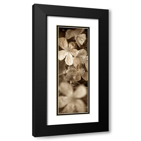 Florison - 69 Black Modern Wood Framed Art Print with Double Matting by Blaustein, Alan