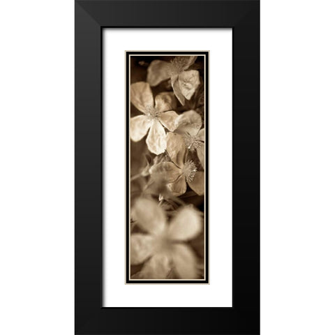 Florison - 69 Black Modern Wood Framed Art Print with Double Matting by Blaustein, Alan