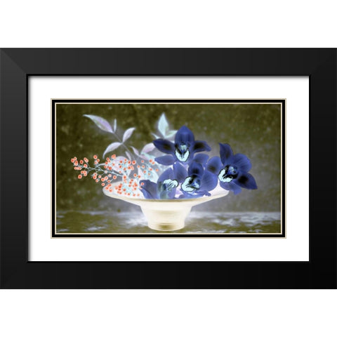 Floral Color - 18 Black Modern Wood Framed Art Print with Double Matting by Blaustein, Alan