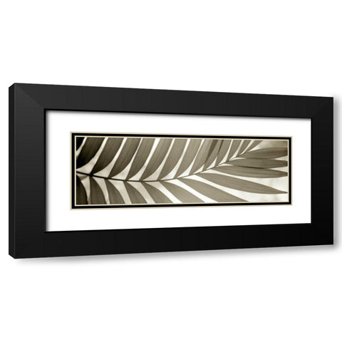 Florison - 98 Black Modern Wood Framed Art Print with Double Matting by Blaustein, Alan