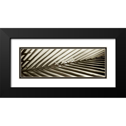 Florison - 100 Black Modern Wood Framed Art Print with Double Matting by Blaustein, Alan