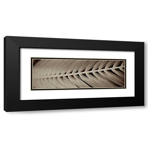 Florison - 99 Black Modern Wood Framed Art Print with Double Matting by Blaustein, Alan