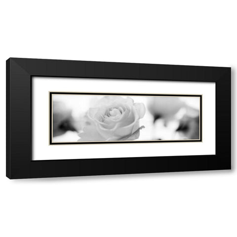 Florison - 102 Black Modern Wood Framed Art Print with Double Matting by Blaustein, Alan
