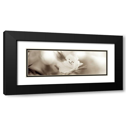 Florison - 104 Black Modern Wood Framed Art Print with Double Matting by Blaustein, Alan