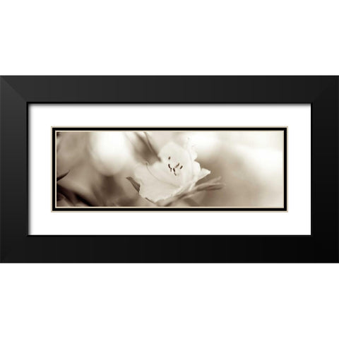 Florison - 104 Black Modern Wood Framed Art Print with Double Matting by Blaustein, Alan