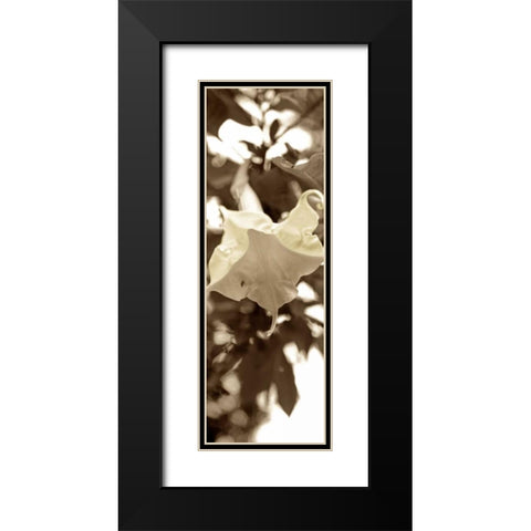 Florison - 78 Black Modern Wood Framed Art Print with Double Matting by Blaustein, Alan