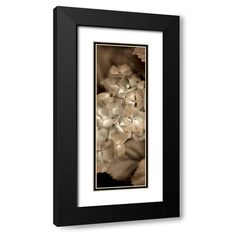 Florison - 90 Black Modern Wood Framed Art Print with Double Matting by Blaustein, Alan