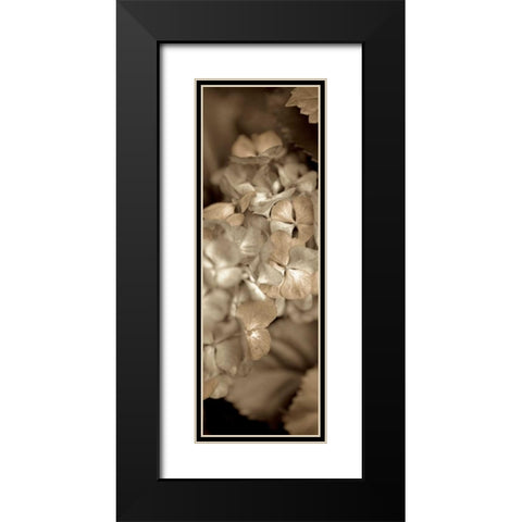 Florison - 90 Black Modern Wood Framed Art Print with Double Matting by Blaustein, Alan