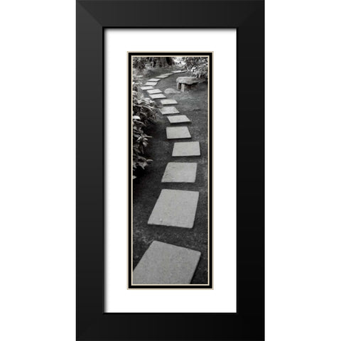 Japanese Garden - 1 Black Modern Wood Framed Art Print with Double Matting by Blaustein, Alan