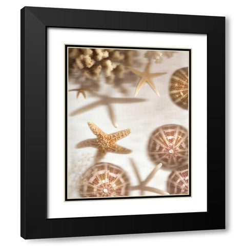Nautical Illuminations No.3 Black Modern Wood Framed Art Print with Double Matting by Blaustein, Alan