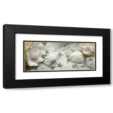 Island Tide Pool No. 5 Black Modern Wood Framed Art Print with Double Matting by Blaustein, Alan