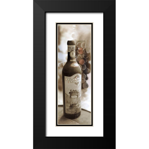 Montepulciano Vineyard #1 Black Modern Wood Framed Art Print with Double Matting by Blaustein, Alan