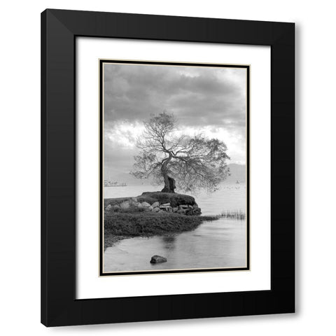 Coastal Oak Series No. 1 Black Modern Wood Framed Art Print with Double Matting by Blaustein, Alan