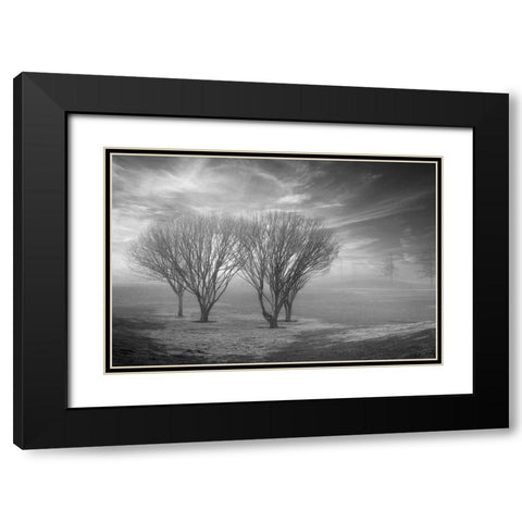Coastal Oak Series No. 42 Black Modern Wood Framed Art Print with Double Matting by Blaustein, Alan