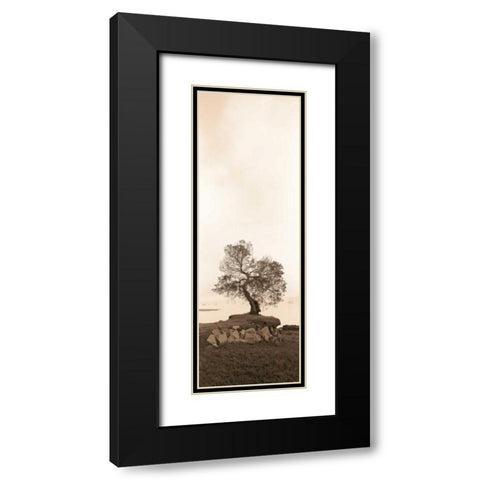 Coast Oak Black Modern Wood Framed Art Print with Double Matting by Blaustein, Alan