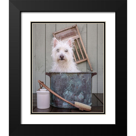 Washing the Dog Black Modern Wood Framed Art Print with Double Matting by Fielding, Edward M.