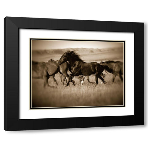 Dark Horse Black Modern Wood Framed Art Print with Double Matting by Leacock, J.C.