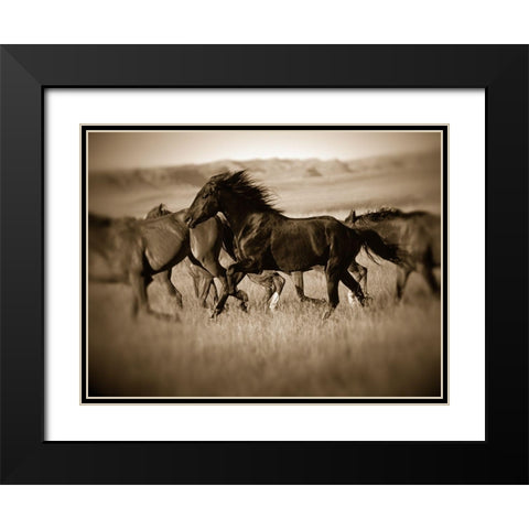 Dark Horse Black Modern Wood Framed Art Print with Double Matting by Leacock, J.C.