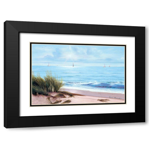 Sandpiper Beach Black Modern Wood Framed Art Print with Double Matting by Romanello, Diane
