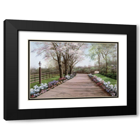 Country Lane Black Modern Wood Framed Art Print with Double Matting by Romanello, Diane