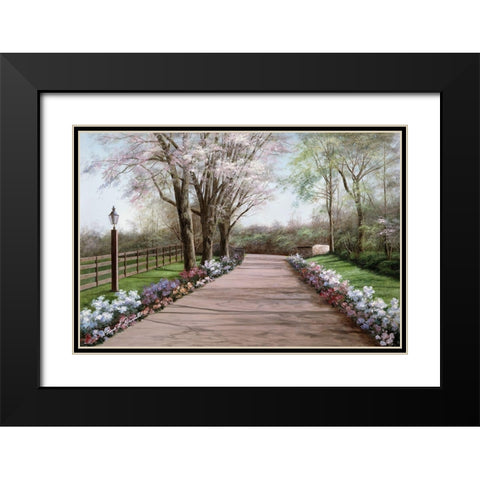 Country Lane Black Modern Wood Framed Art Print with Double Matting by Romanello, Diane