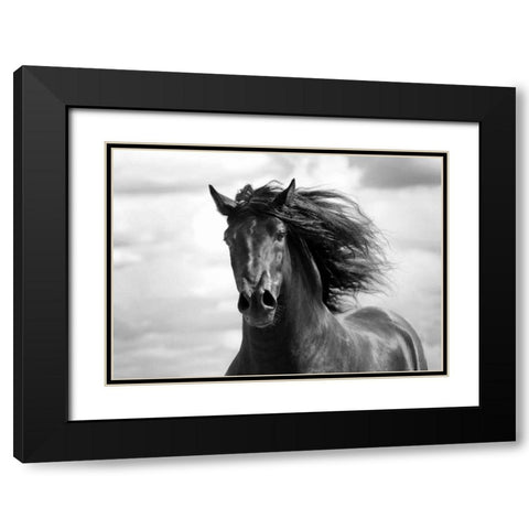Breath of Life Black Modern Wood Framed Art Print with Double Matting by Stromberg, Tony