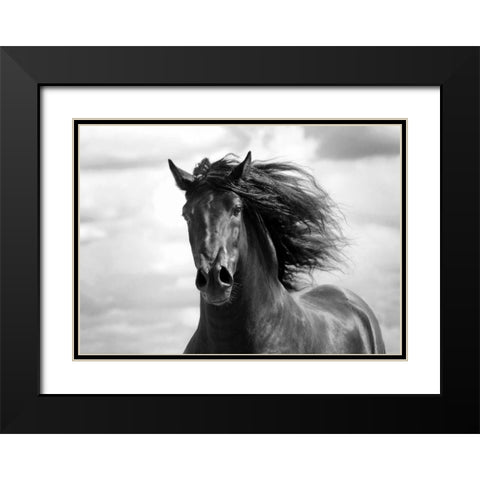 Breath of Life Black Modern Wood Framed Art Print with Double Matting by Stromberg, Tony