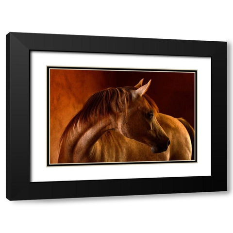 Clay Black Modern Wood Framed Art Print with Double Matting by Stromberg, Tony