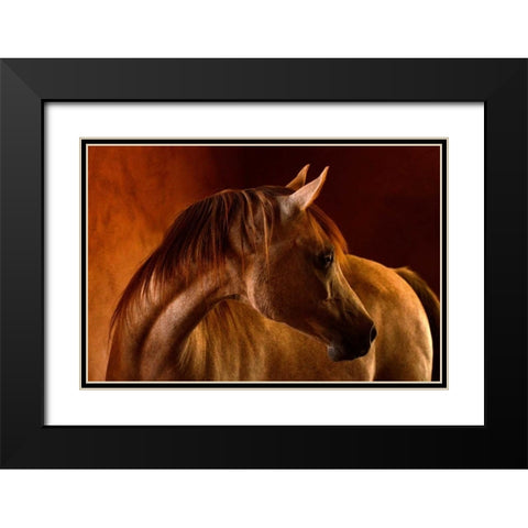 Clay Black Modern Wood Framed Art Print with Double Matting by Stromberg, Tony