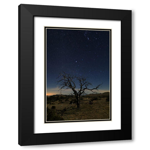 Mohave at Night No. 1 Black Modern Wood Framed Art Print with Double Matting by Severn, Shawn/Corinne