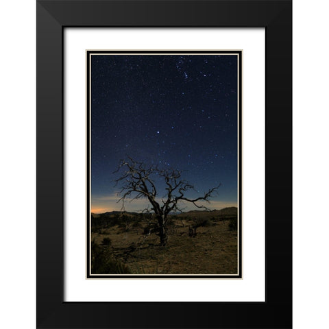 Mohave at Night No. 1 Black Modern Wood Framed Art Print with Double Matting by Severn, Shawn/Corinne