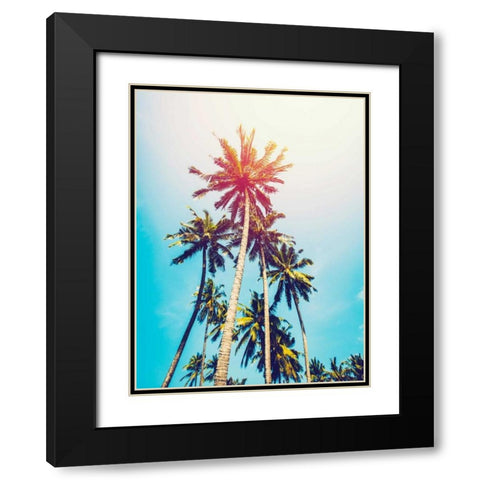Palms in the Sun Black Modern Wood Framed Art Print with Double Matting by Tai Prints
