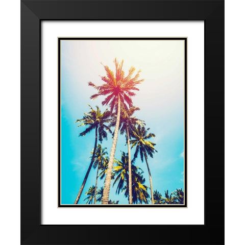 Palms in the Sun Black Modern Wood Framed Art Print with Double Matting by Tai Prints