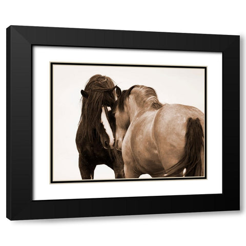 Horses Courting Black Modern Wood Framed Art Print with Double Matting by Walker, Carol
