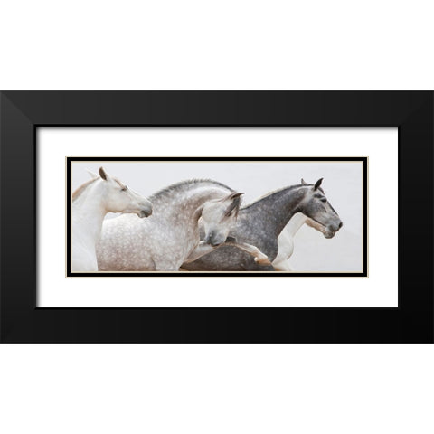 Pointing The Way Black Modern Wood Framed Art Print with Double Matting by Walker, Carol